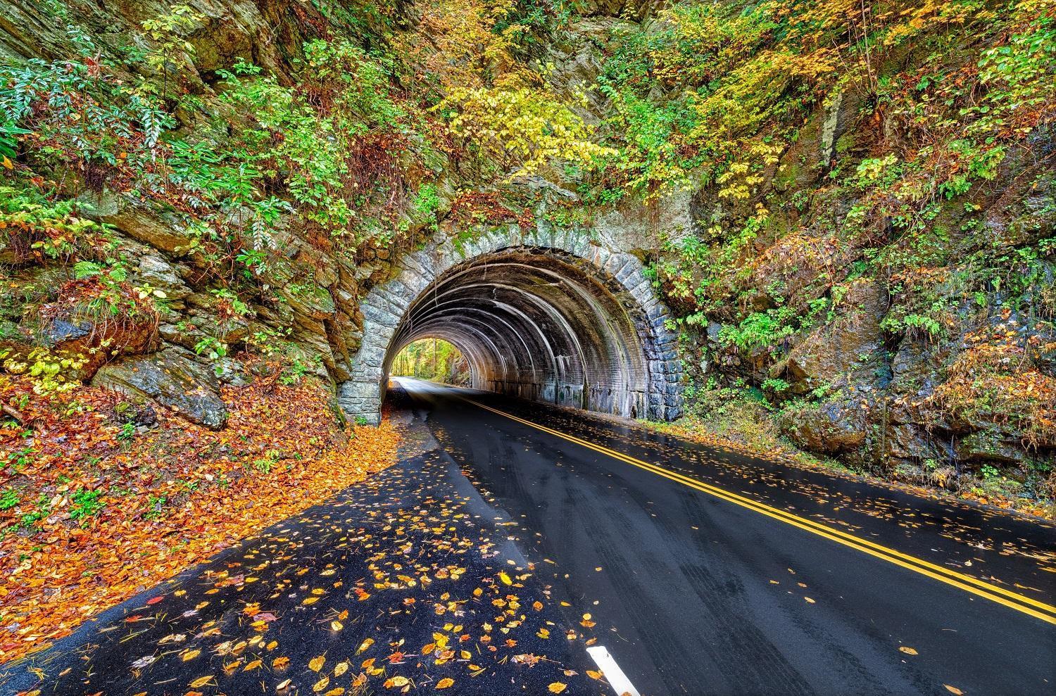 A Stones Throw, You Get 1089 Free Attraction Tickets Per Paid Day, Dollywood And Much More! Pigeon Forge Kültér fotó